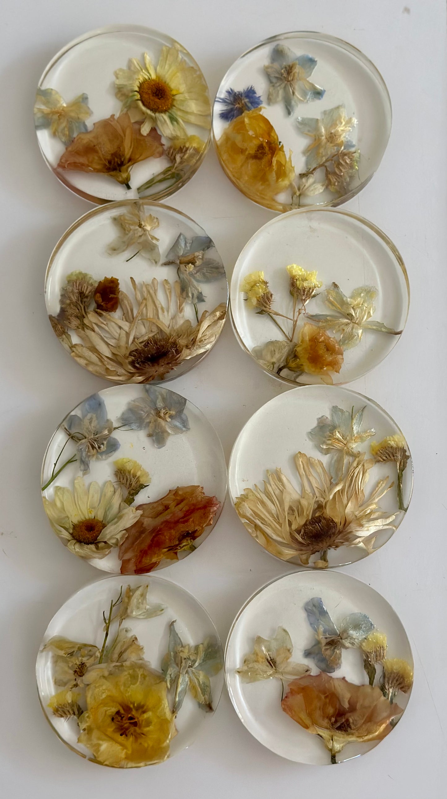 Round Coaster Flower Preservations