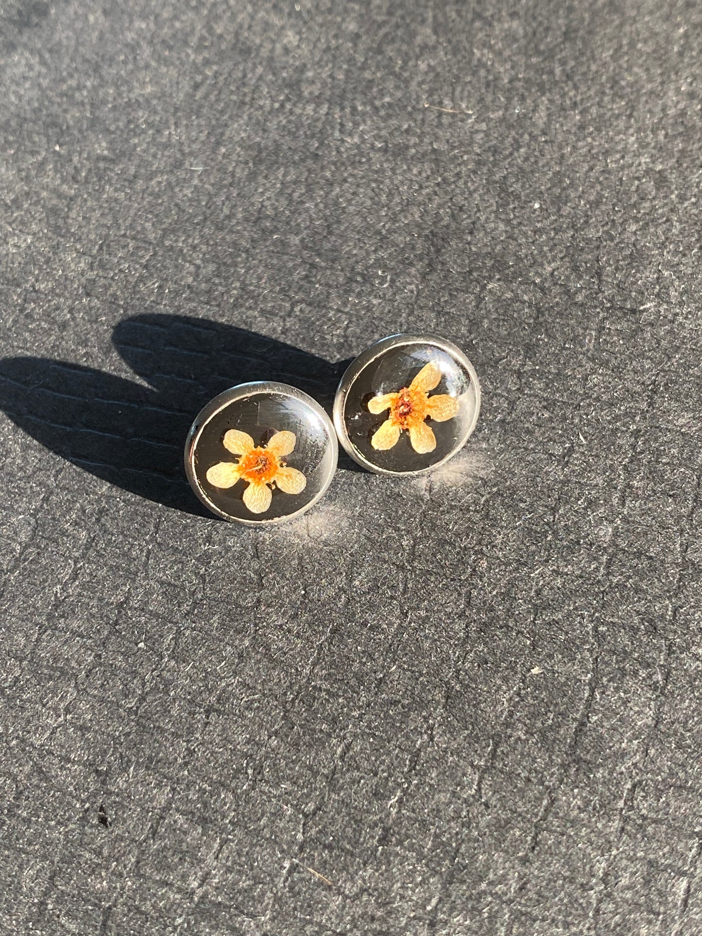 Silver Resin Stud Earrings (250)