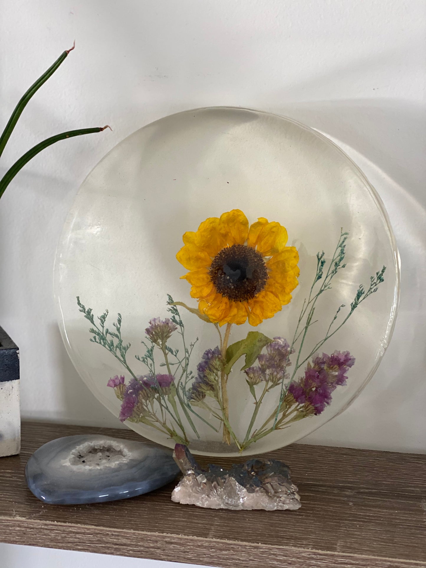 Round Flower Preservation